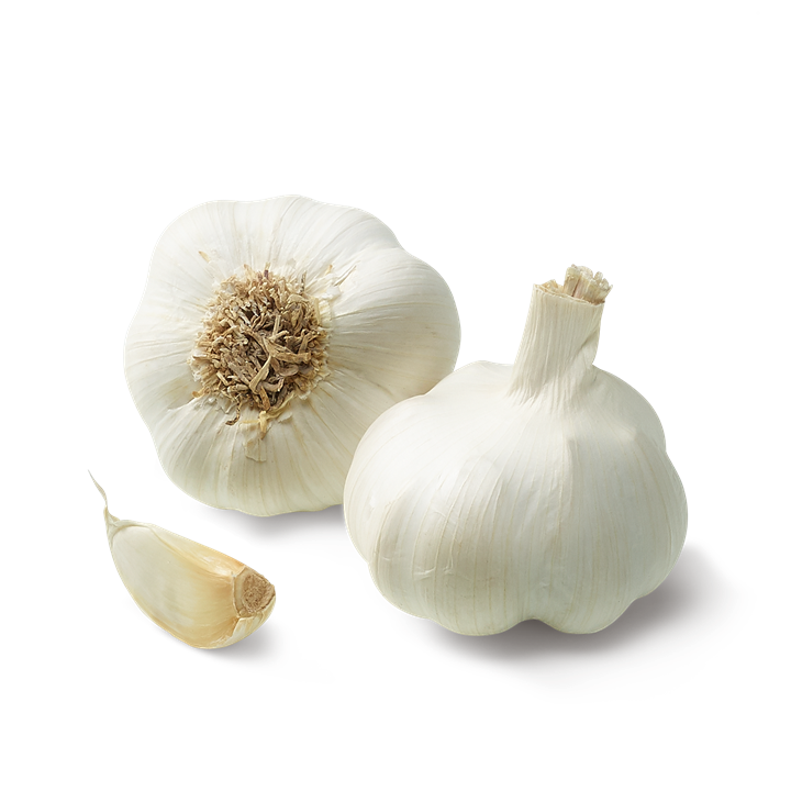 Knoblauch frisch